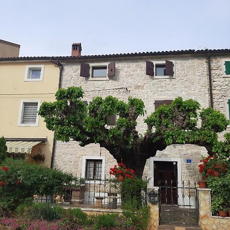 Casa Girasole Villa Buje Dış mekan fotoğraf