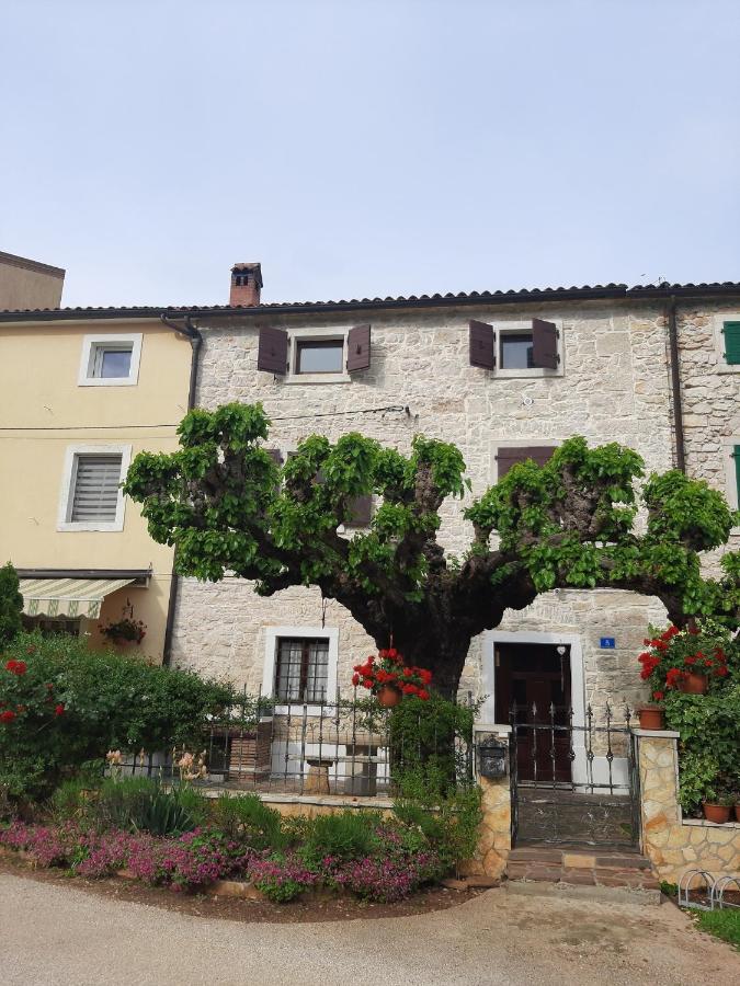 Casa Girasole Villa Buje Dış mekan fotoğraf