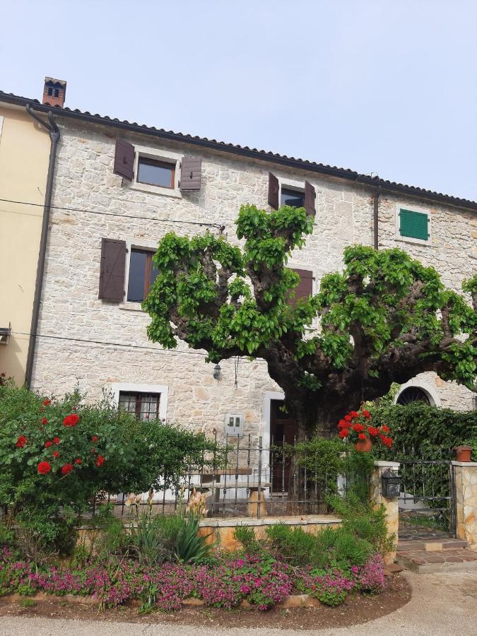 Casa Girasole Villa Buje Dış mekan fotoğraf